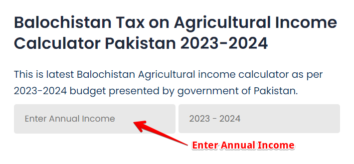 Enter Annual Income on Agricultural Tax Income Calculator Balochistan