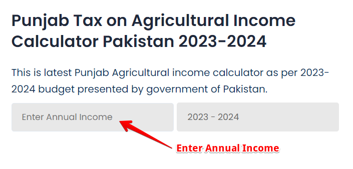 Enter Annual Income on Punjab tax agricultural income calculator Pakistan