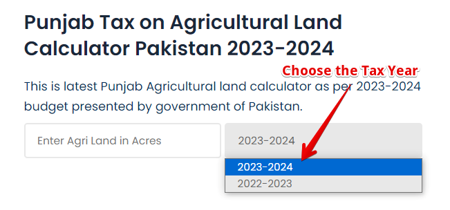 current-choose-the-tax-year
