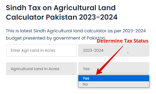 determinne-Tax-Status